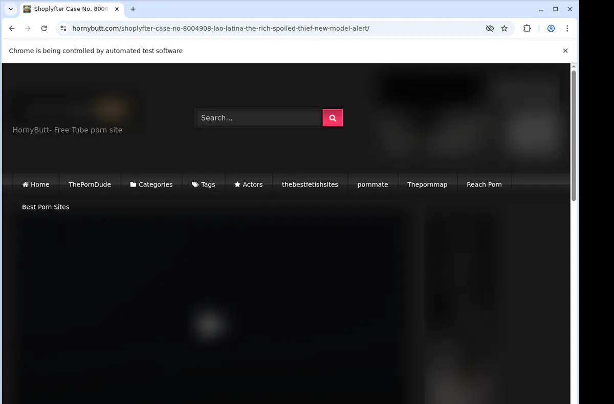 Hornybutt Video Downloader browser extension screenshot 2